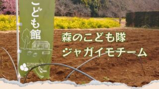 森のこども隊☆ジャガイモチーム「種イモの植え付け」