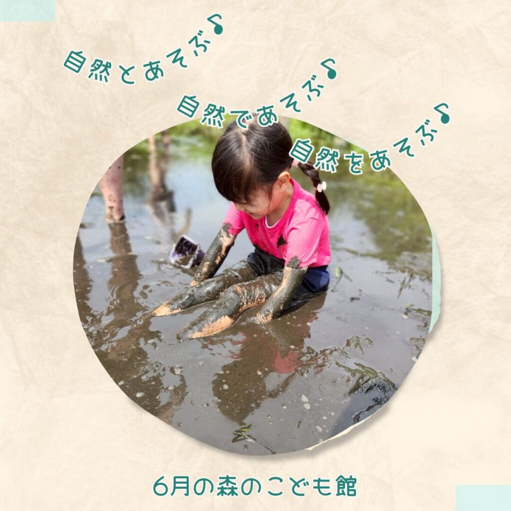 2025年6月の森のこども館の様子