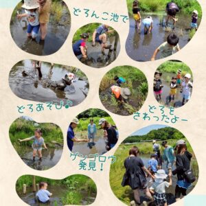 2025年6月の森のこども館の様子