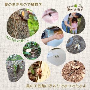 2025年7月の森のこども館の様子