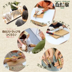 2025年8月の森のこども館の様子