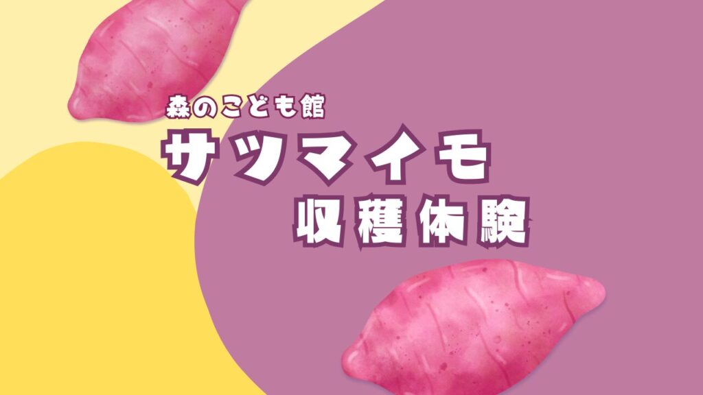 サツマイモ収穫体験2025