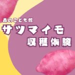 サツマイモ収穫体験2025
