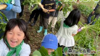 森のこども隊⭐︎秋やさいチーム第4回目 2025年11月