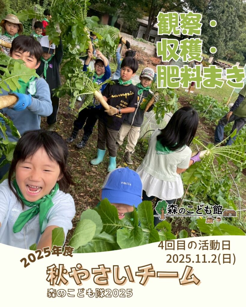 森のこども隊 秋やさいチーム 4回目の活動の様子
