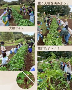 森のこども隊 秋やさいチーム 4回目の活動の様子