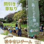 森のこども隊 秋やさいチーム 2回目の活動の様子