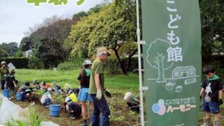 森のこども隊⭐︎秋やさいチーム第2回目 間引き 2025年9月