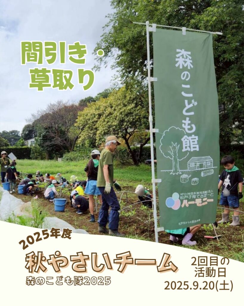 森のこども隊 秋やさいチーム 2回目の活動の様子