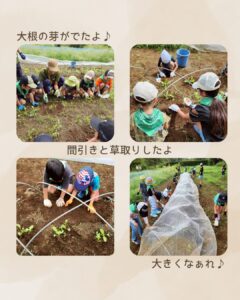 森のこども隊 秋やさいチーム 2回目の活動の様子