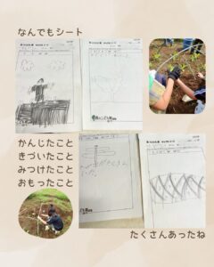 森のこども隊 秋やさいチーム 2回目の活動の様子
