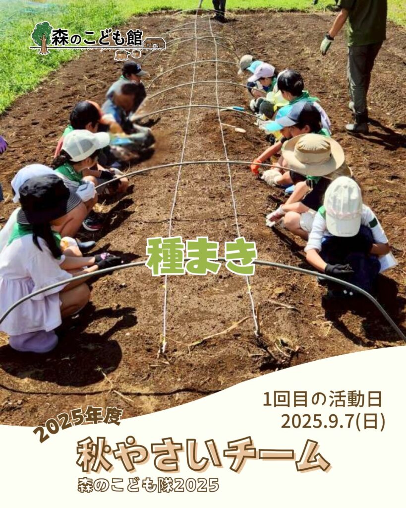 森のこども隊 秋やさいチーム 1回目の活動の様子