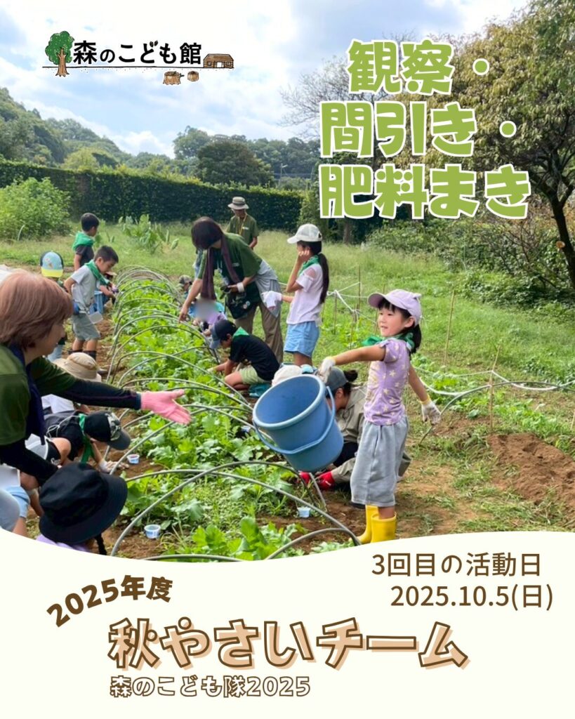 森のこども隊 秋やさいチーム 3回目の活動の様子
