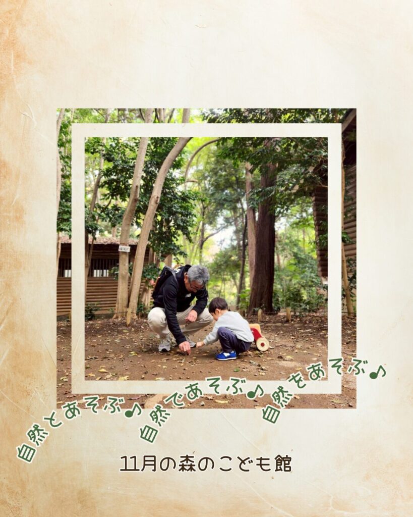2025年11月の森のこども館の様子
