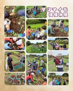 2025年11月の森のこども館の様子