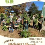 森のこども隊 秋やさいチーム 5回目の活動の様子