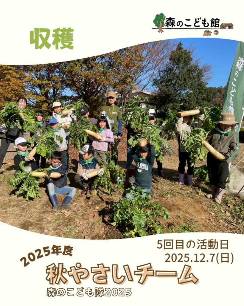 森のこども隊 秋やさいチーム 5回目の活動の様子