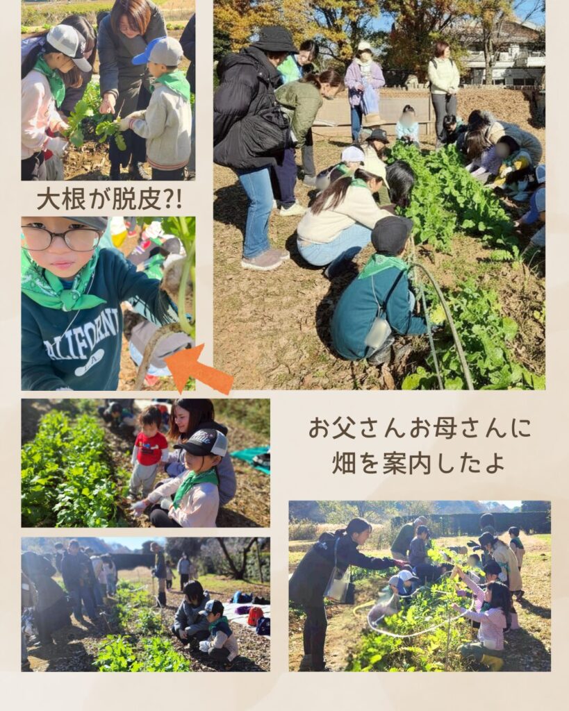 森のこども隊 秋やさいチーム 5回目の活動の様子