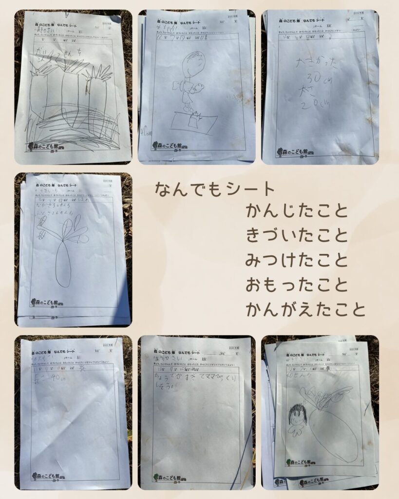 森のこども隊 秋やさいチーム 5回目の活動の様子