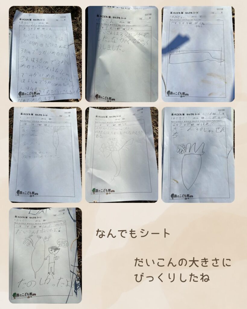 森のこども隊 秋やさいチーム 5回目の活動の様子