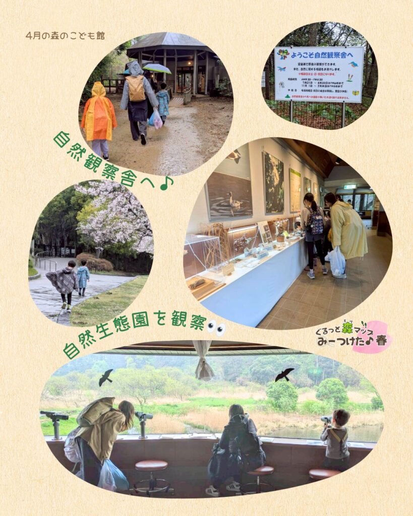 2026年4月の森のこども館の様子