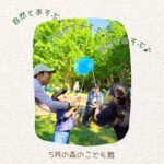 2026年5月の様子