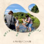 2026年6月の様子