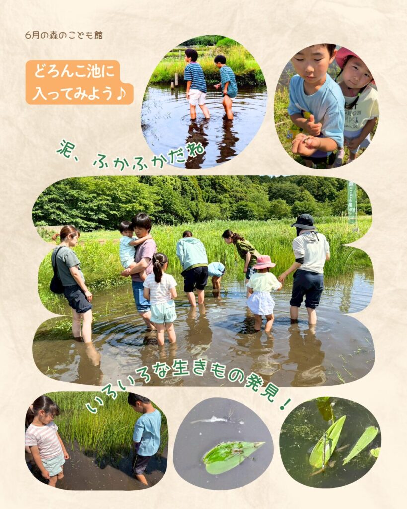 2026年6月の様子2