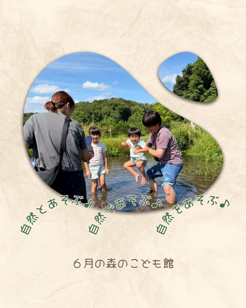 2026年6月の様子