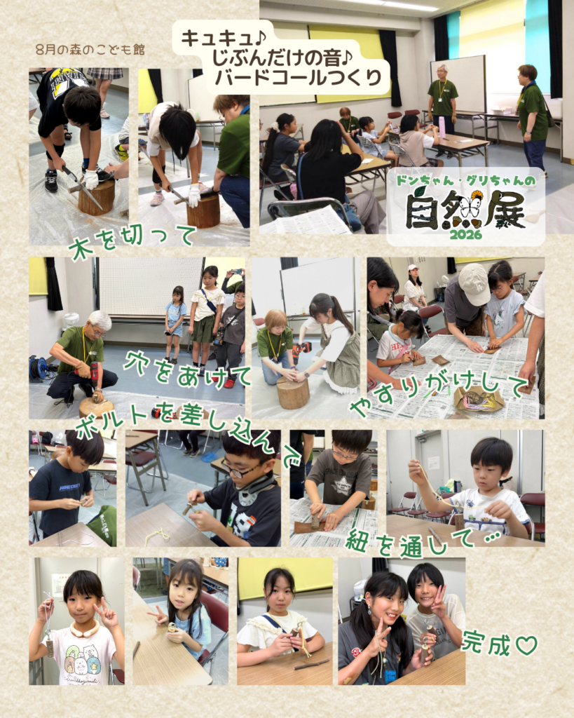 2026年8月の様子