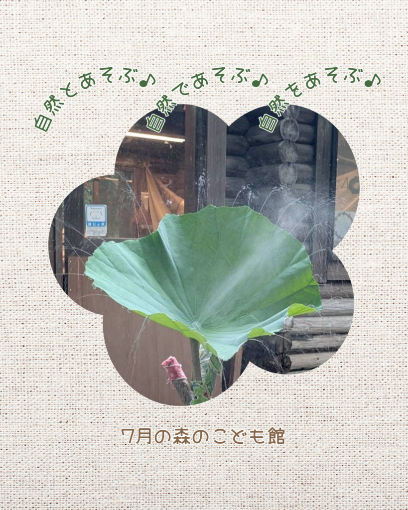 2026年7月の様子
